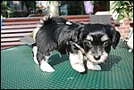 IMG_6989.JPG