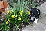 IMG_7020.JPG