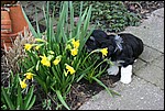 IMG_7021.JPG