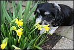 IMG_7022.JPG