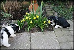 IMG_7023.JPG