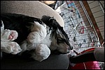 IMG_7024.JPG