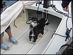IMG_5974.JPG
