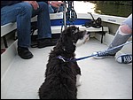 IMG_5979.JPG