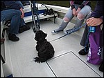 IMG_5984.JPG