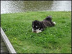 IMG_6000.JPG