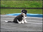 IMG_6002.JPG