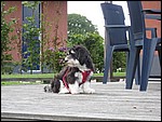 IMG_6078.JPG