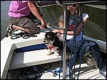 IMG_6082.JPG