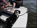 IMG_6091.JPG