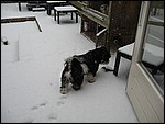 IMG_6283.JPG