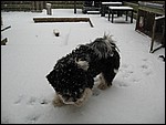 IMG_6284.JPG