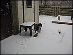 IMG_6285.JPG