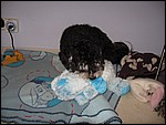 IMG_6302.JPG