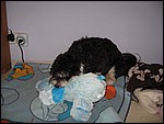 IMG_6303.JPG