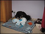 IMG_6304.JPG