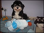 IMG_6305.JPG
