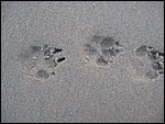 IMG_6417.JPG