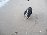 IMG_6421.JPG