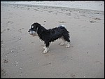 IMG_6422.JPG