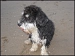 IMG_6424.JPG