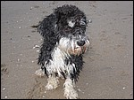 IMG_6425.JPG