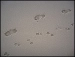 IMG_6426.JPG
