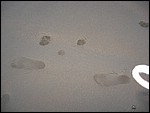 IMG_6427.JPG