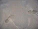 IMG_6429.JPG