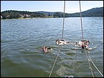 IMG_6630.JPG