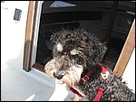 IMG_6640.JPG