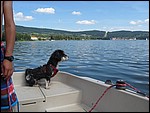 IMG_6729.JPG