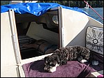 IMG_6754.JPG