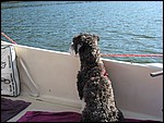 IMG_6756.JPG