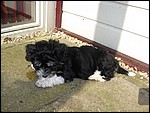 IMG_5597.JPG