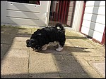 IMG_5599.JPG