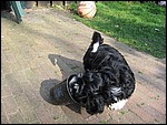 IMG_5600.JPG