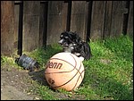 IMG_5601.JPG