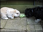 IMG_5615.JPG