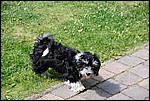 DSC_0067.JPG