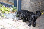 DSC_0068.JPG