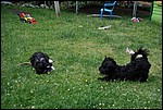 DSC_0069.JPG