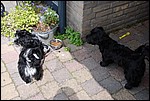 DSC_0070.JPG