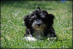 DSC_0071.JPG