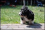 DSC_0072.JPG
