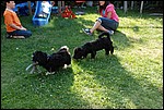 DSC_0077.JPG
