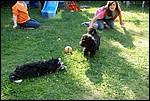 DSC_0078.JPG