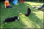 DSC_0079.JPG