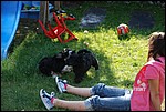 DSC_0082.JPG