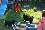 DSC_0083.JPG